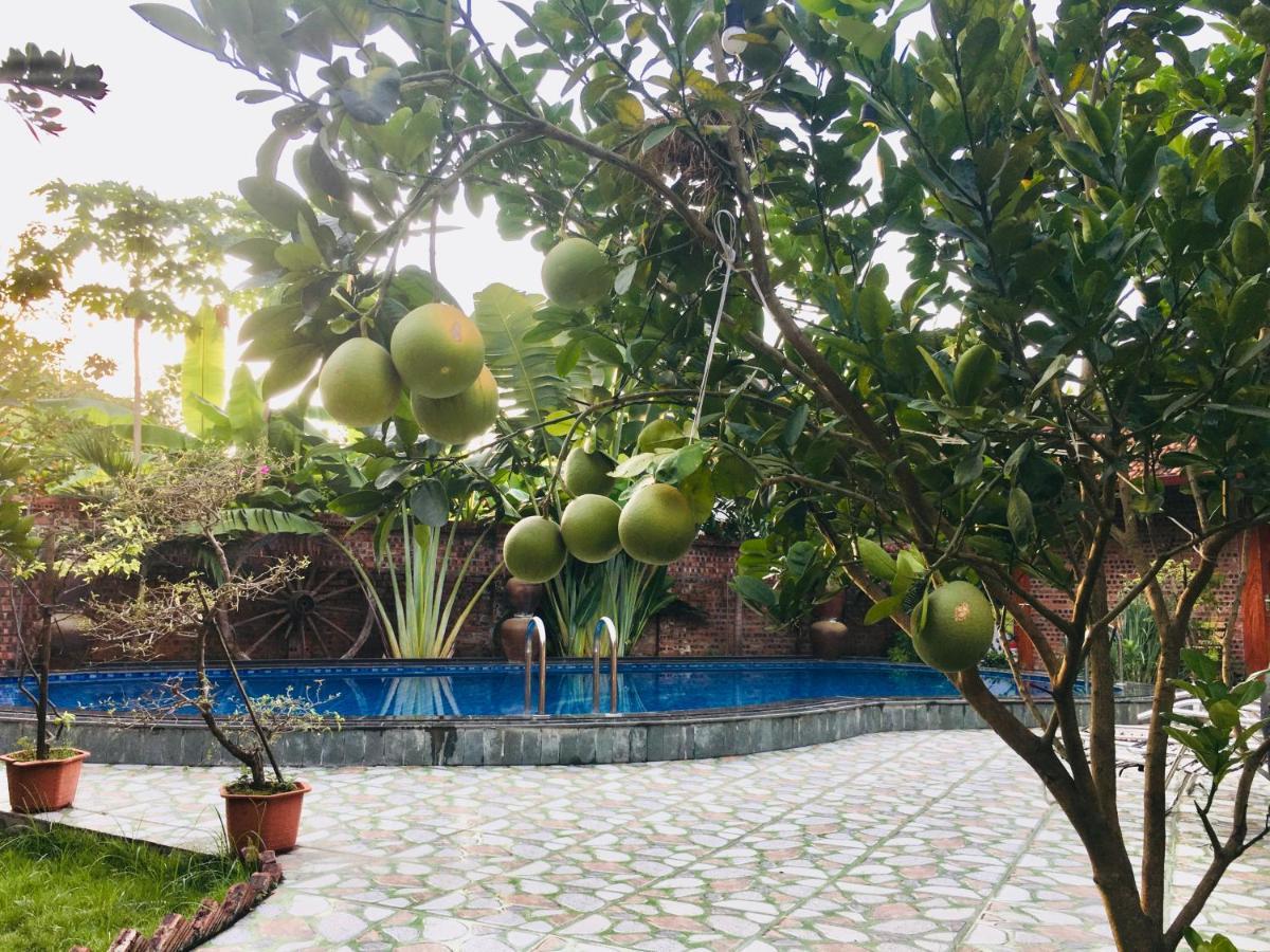 Tam Coc Thanh Dat Homestay Ninh Binh Exterior foto