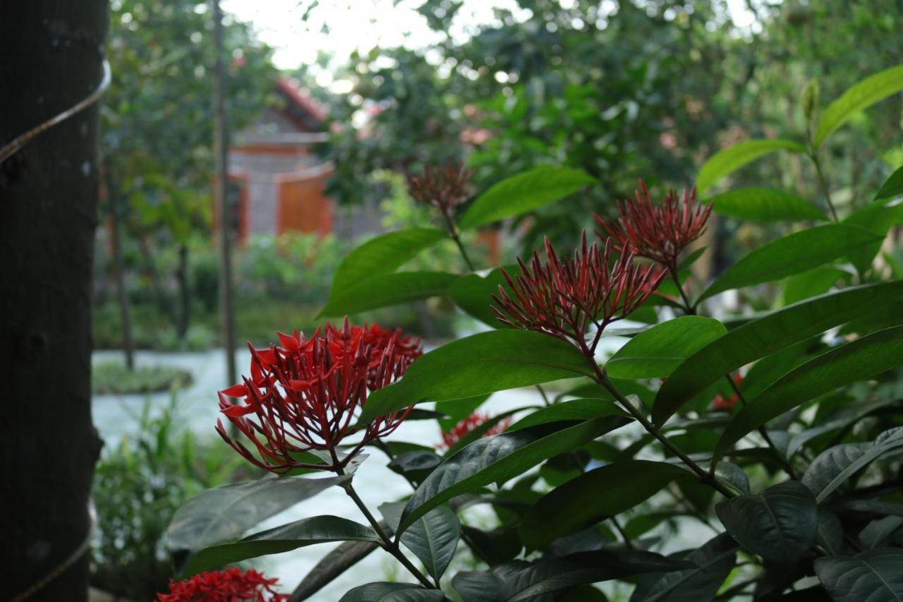 Tam Coc Thanh Dat Homestay Ninh Binh Exterior foto